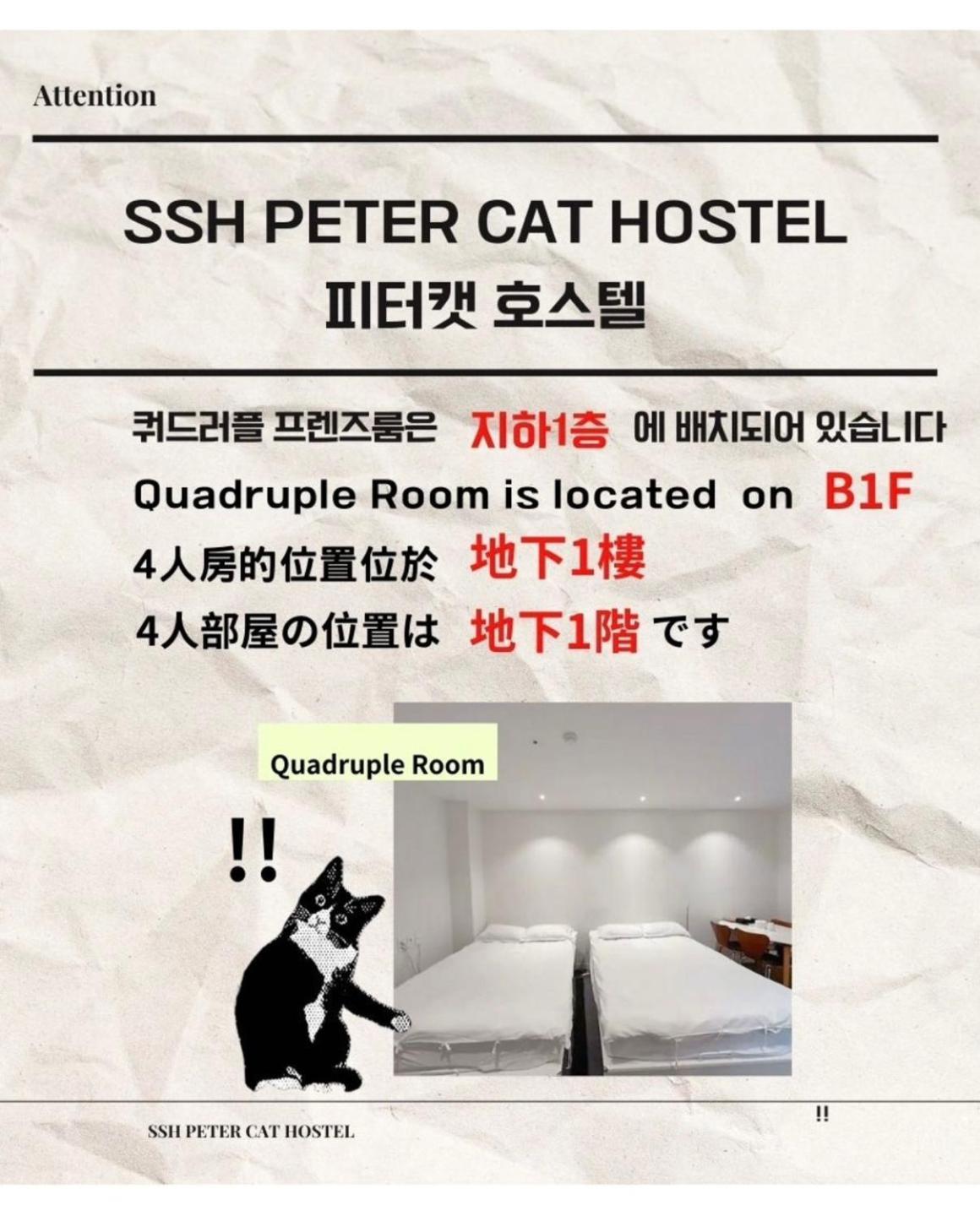 Ssh Ikseon Peter Cat Hostel Seoul Exterior foto